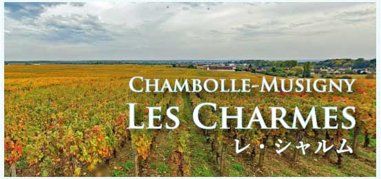 シャンボール・ミュジニー、プルミエ・クリュ、レ・シャルム (Chambolle-Musigny, 1er Cru, Les Charmes)