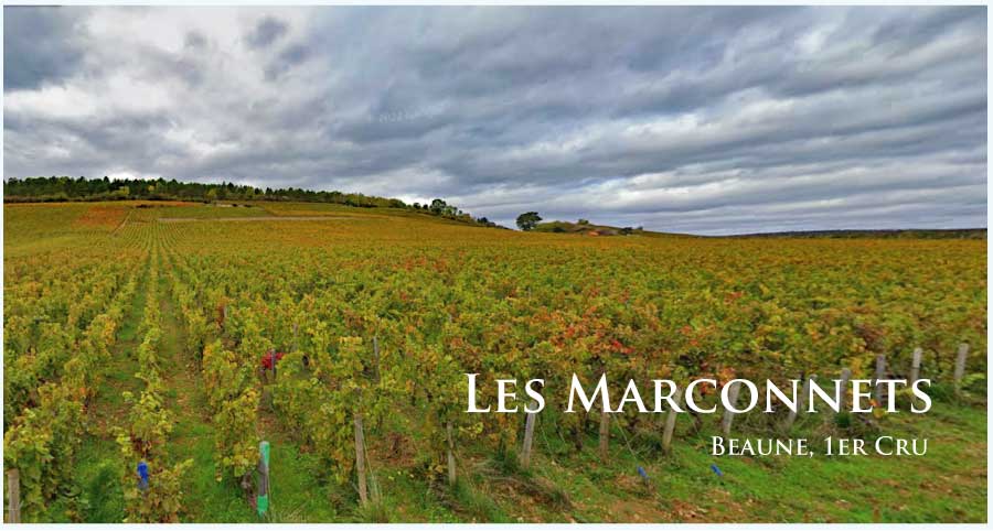 レ・マルコネ (Les Marconnets) レ・マルコネ (Les Marconnets)