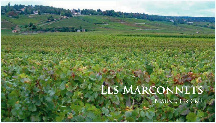 レ・マルコネ (Les Marconnets) レ・マルコネ (Les Marconnets)