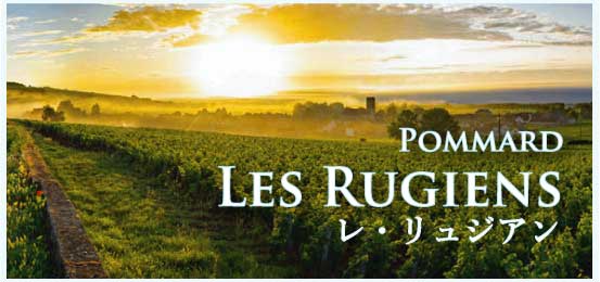 ポマール、プルミエ・クリュ、レ・リュジアン (Pommard, 1er Cru, Les Rugiens)