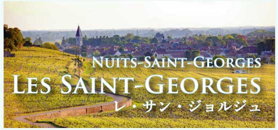 ニュイ・サン・ジョルジュ、プルミエ・クリュ、レ・サン・ジョルジュ (Nuits-Saint-Georges, 1er Cru, Les Saint-Georges)