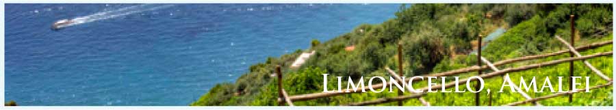 イタリアの主要ワイン産地、リモンチェッロ・アマルフィ (Limoncello, Amalfi)