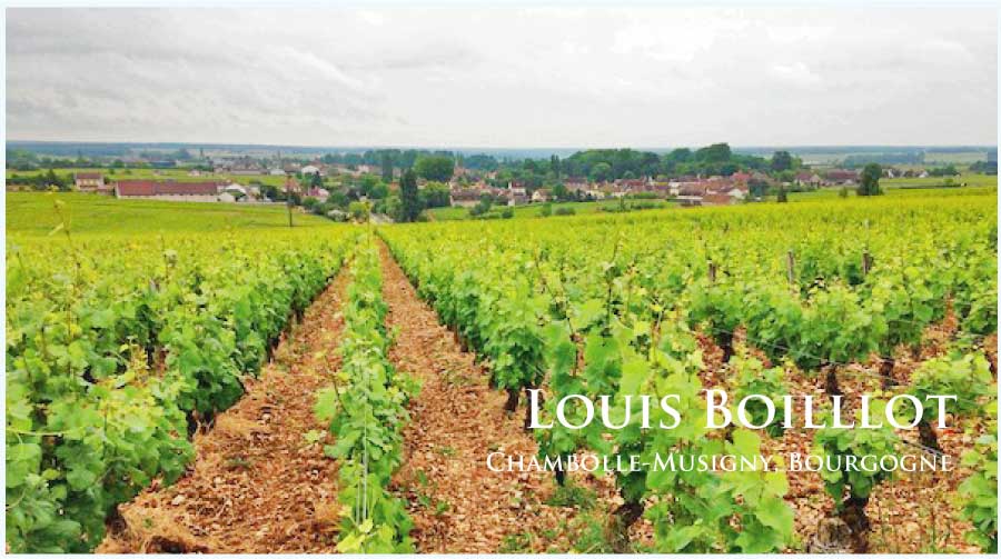 ルイ・ボワイヨ (Louis Boillot)