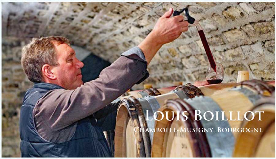 ルイ・ボワイヨ (Louis Boillot)