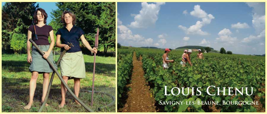 ルイ・シュニュ　(Louis Chenu)