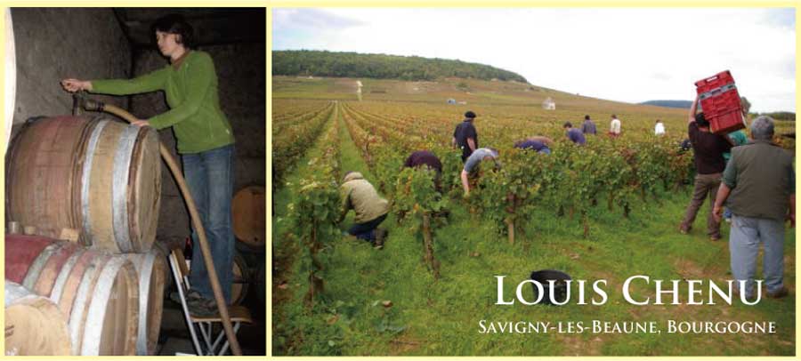 ルイ・シュニュ　(Louis Chenu)