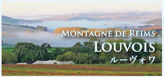 ルーヴォワ (Louvois) ルーヴォワ (Louvois)