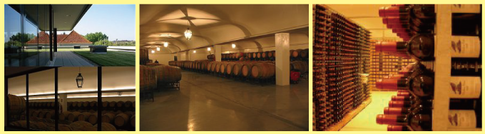 ポルトガル・フランスワインなど各国ワイン通販　ルイス・パトのスティル・ワイン