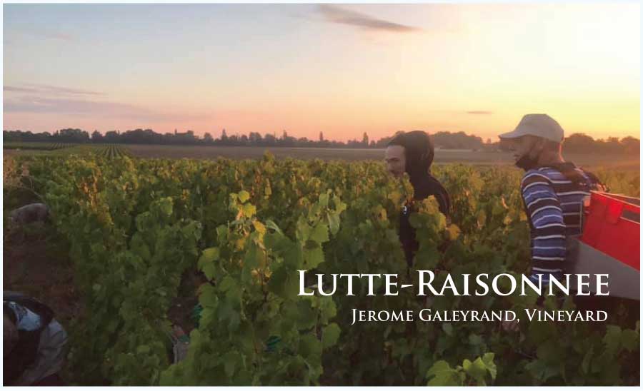 リュット・レゾネのワイン (Lutte-Raisonnee Wine)