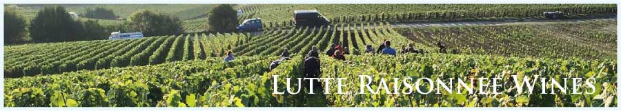 自然派ワイン、リュット・レゾネ (Natural Wine, Lutte Raisonnee)