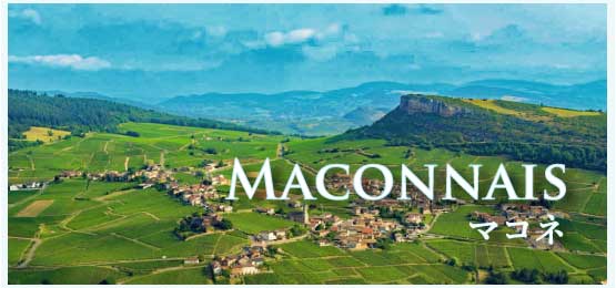 マコネ (Maconnais)