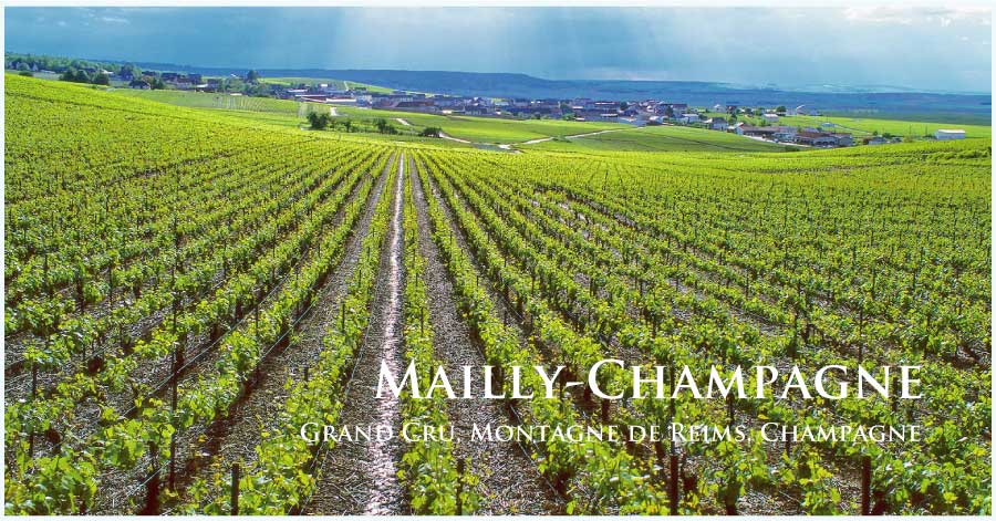 マイィ・シャンパーニュ (Mailly-Champagne) マイィ・シャンパーニュ (Mailly-Champagne)