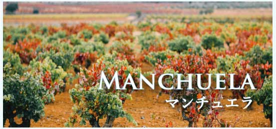 マンチュエラ (Manchuela)