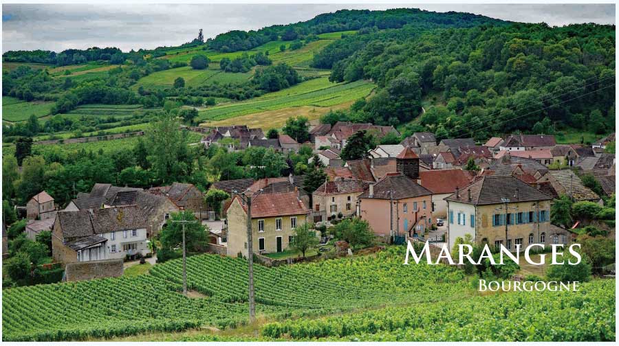 フランス・ワイン産地、マランジュのぶどう畑