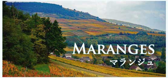 マランジュ (Maranges)