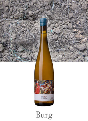 ビュルグ （Burg)