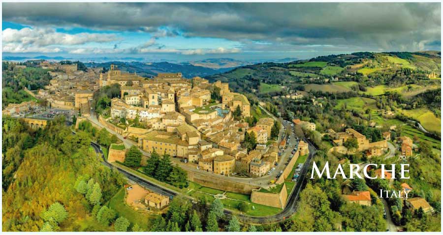 マルケのぶどう畑 (イタリア・マルケ州) マルケのぶどう畑 (イタリア・マルケ州)