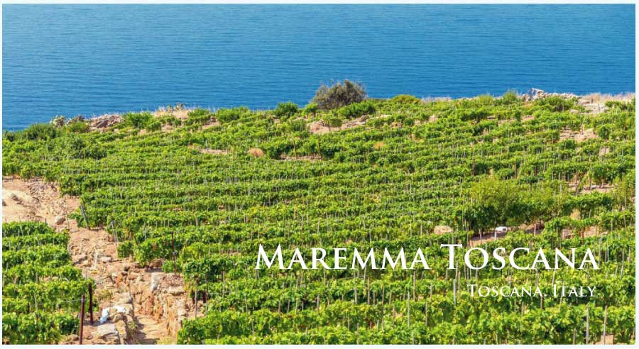 マレンマ・トスカーナ (Maremma Toscana) マレンマ・トスカーナ (Maremma Toscana)