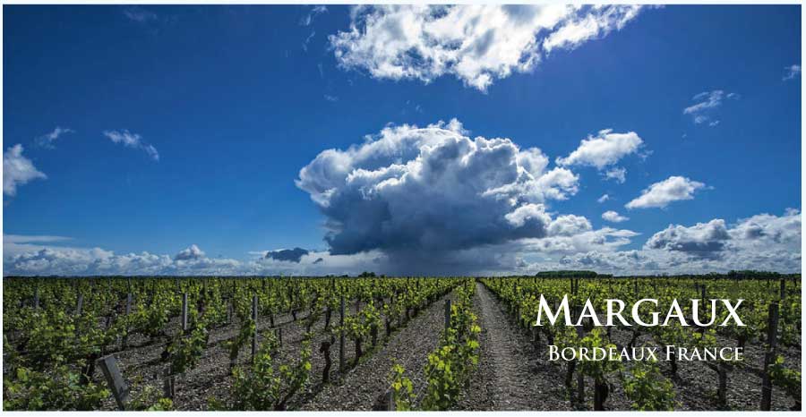 フランス・ワイン産地、マルゴーのぶどう畑