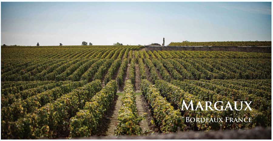 フランス・ワイン産地、マルゴーのぶどう畑