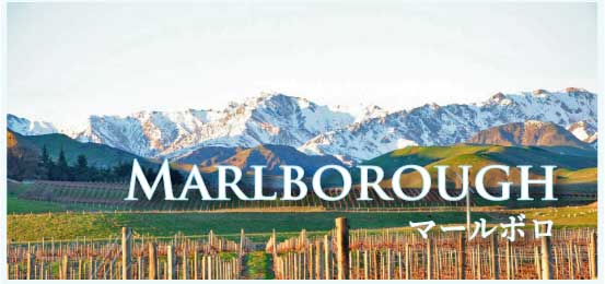 マールボロ (Marlborough)