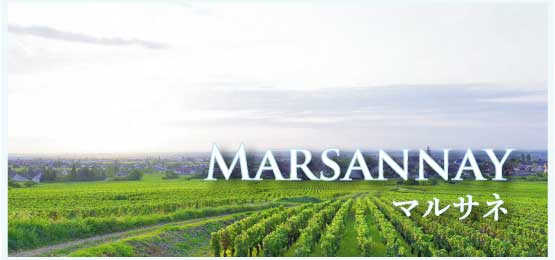 マルサネ (Marsannay)