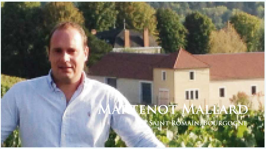 マルトノ・マラール (Martenot Mallard) フランス、ブルゴーニュ