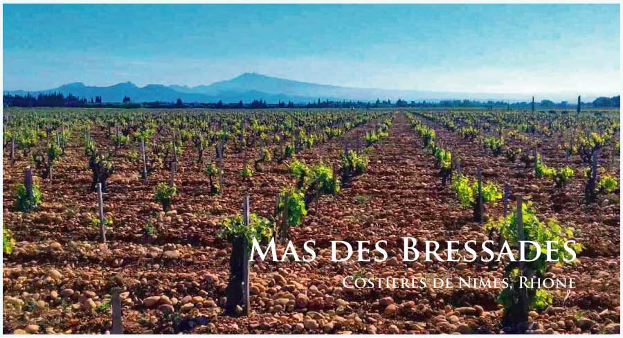 マス・デ・ブレサド (Mas des Bressades) フランス、コート・デュ・ローヌ、コスティエール・ド・ニーム