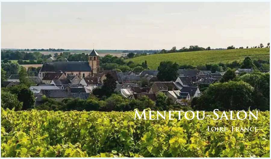 フランス、ロワール、メヌトゥー・サロンのぶどう畑