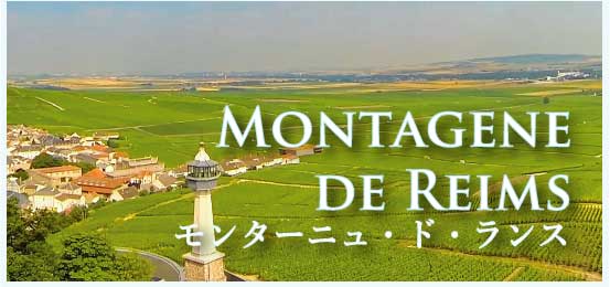 モンターニュ・ド・ランス (Montagne de Reims)