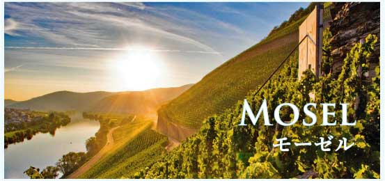 モーゼル (Mosel)