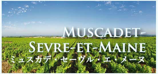 ミュスカデ・セーヴル・エ・メーヌ (Muscadet Sevre et Maine)