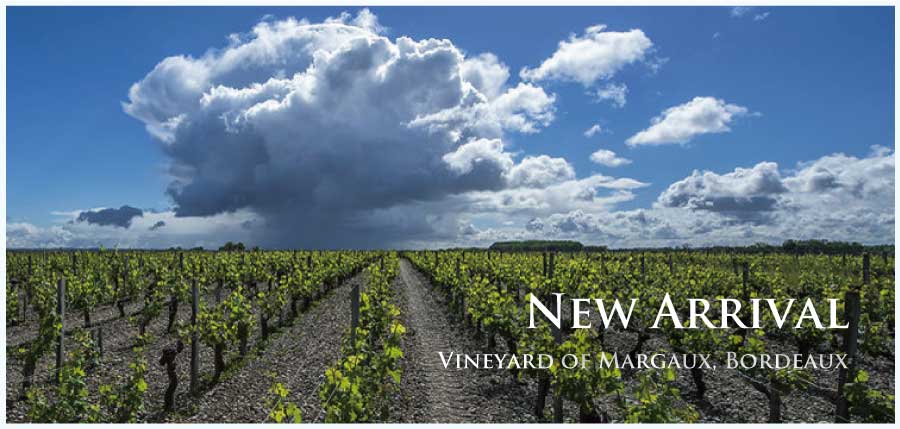 新着ワイン (New Arrival Wine)、ワイン通販　レ・ブルジョン