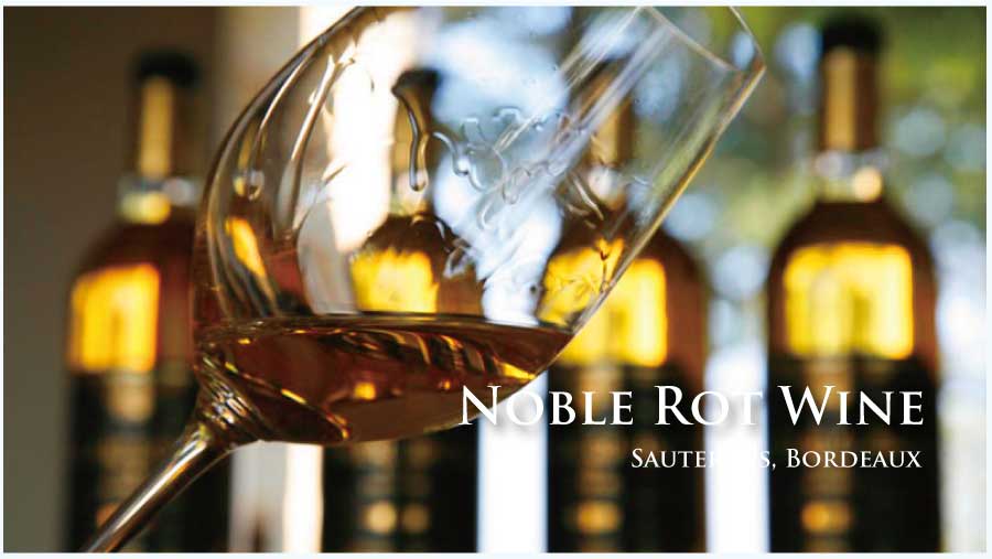 貴腐ワイン (Noble Rot Wine)