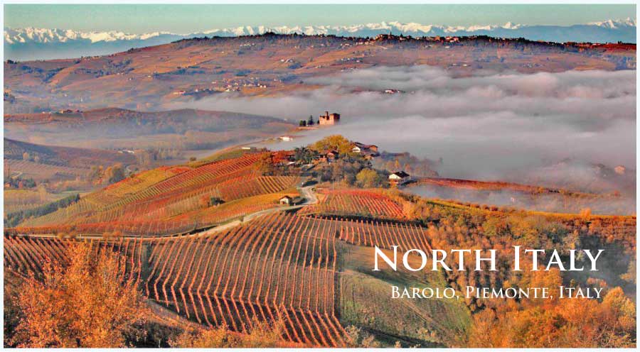 北イタリアワイン特集 (North Italy Wine)