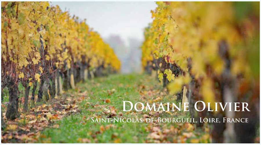 ドメーヌ・オリヴィエ (Domaine Olivier)