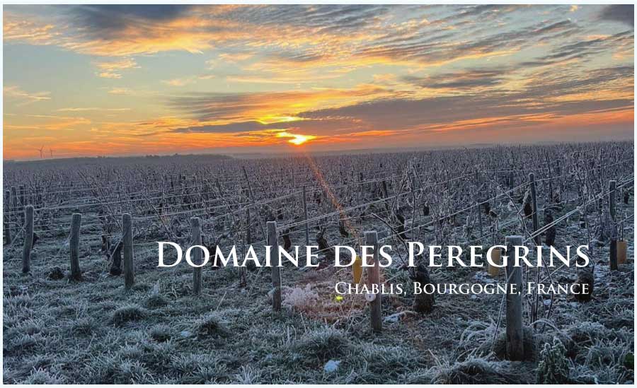 ドメーヌ・デ・ペレグラン (Domaine des Peregrins) フランス、ブルゴーニュ、シャブリ ドメーヌ・デ・ペレグラン (Domaine des Peregrins) フランス、ブルゴーニュ、シャブリ