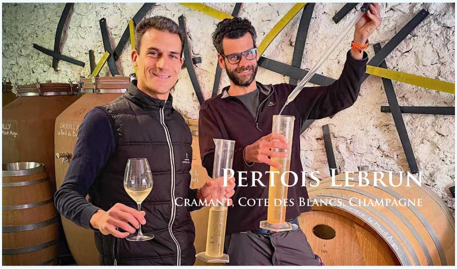 ペルトワ・ルブラン (Pertois-Lebrun) フランス、シャンパーニュ ペルトワ・ルブラン (Pertois-Lebrun) フランス、シャンパーニュ