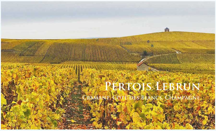ペルトワ・ルブラン (Pertois-Lebrun) フランス、シャンパーニュ ペルトワ・ルブラン (Pertois-Lebrun) フランス、シャンパーニュ