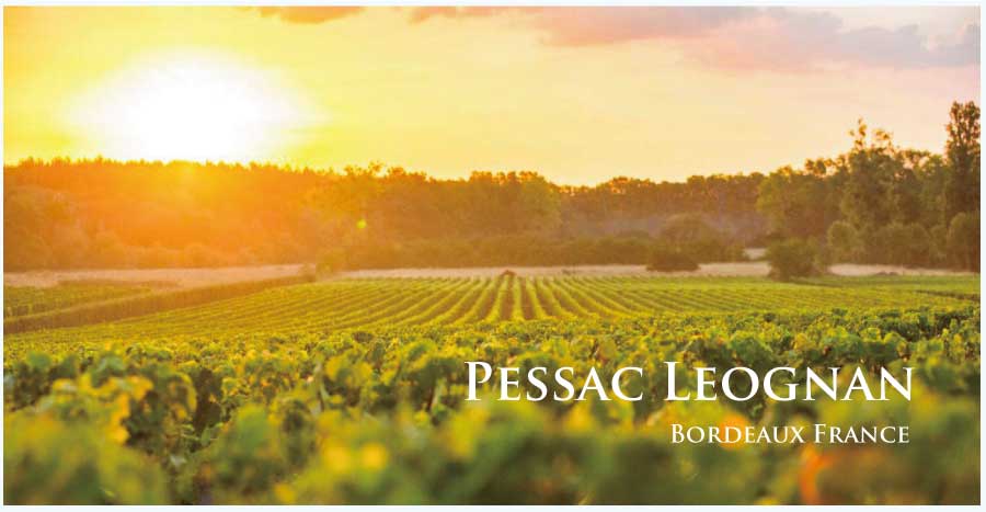 フランス・ワイン産地、ペサック・レオニャンのぶどう畑