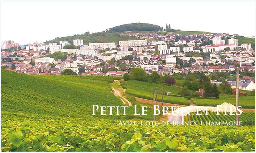 プティ・ル・ブラン・エ・フィス (Petit Le Brun et Fils) フランス、シャンパーニュ