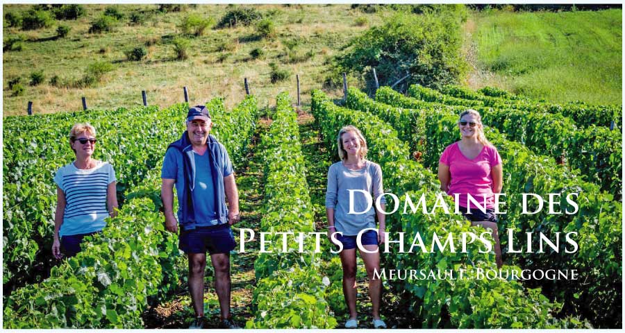 ドメーヌ・デ・プティ・シャン・ラン (Domaine des Petits Champs Lins) フランス、ブルゴーニュ、サントネイ
