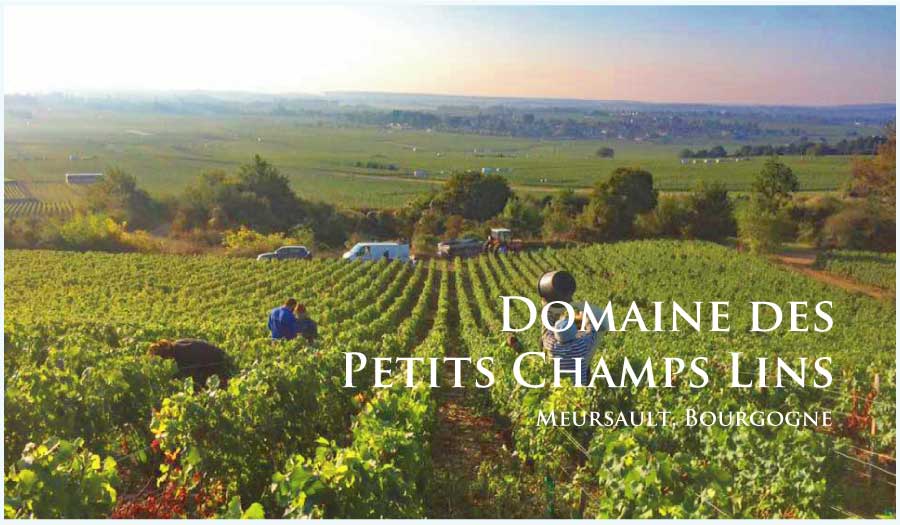 ドメーヌ・デ・プティ・シャン・ラン (Domaine des Petits Champs Lins) フランス、ブルゴーニュ、サントネイ