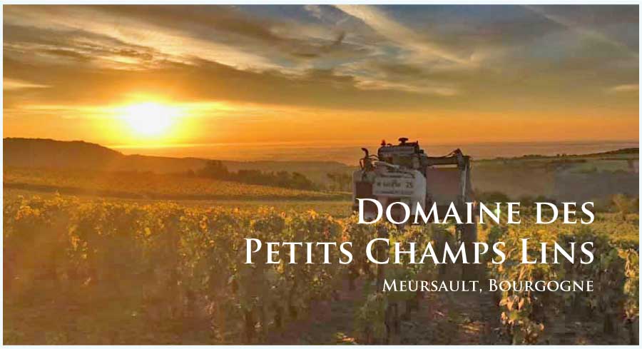 ドメーヌ・デ・プティ・シャン・ラン (Domaine des Petits Champs Lins) フランス、ブルゴーニュ、サントネイ