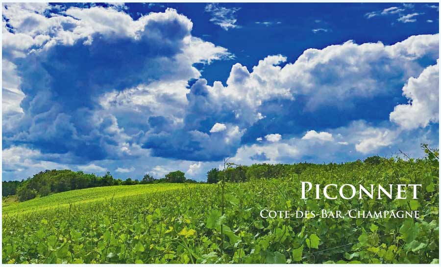 ピコネ (Piconnet)