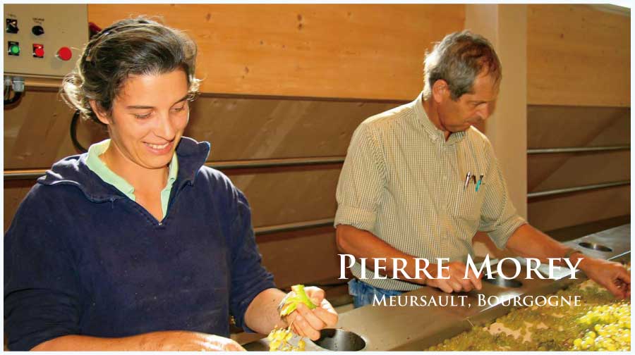 ピエール・モレ (Pierre Morey) のワイン
