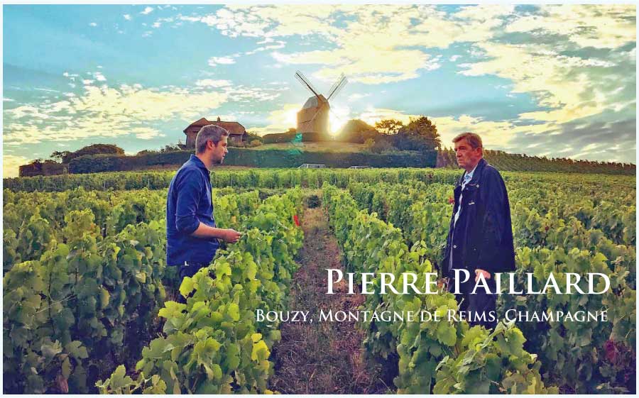 ピエール・パイヤール (Pierre Paillard)
