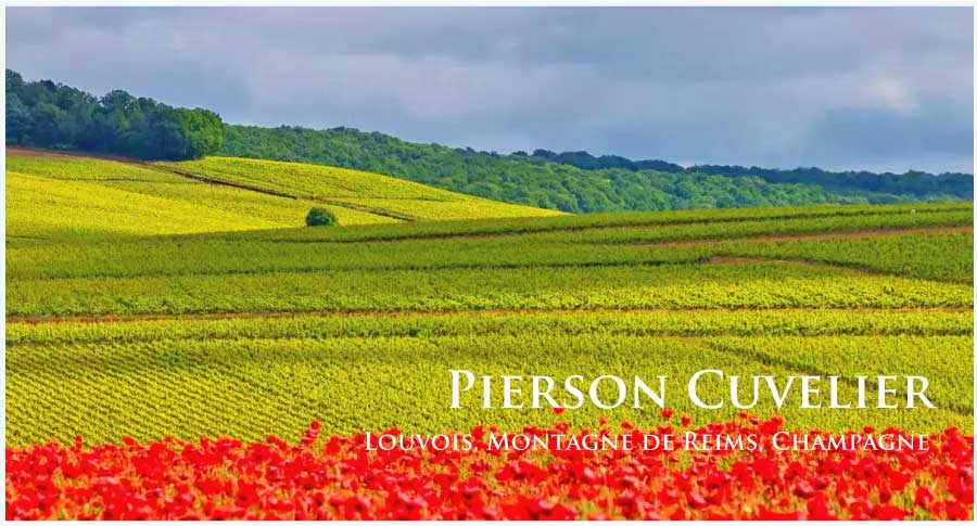 ピエルソン・キュヴリエ (Pierson Cuvelier)