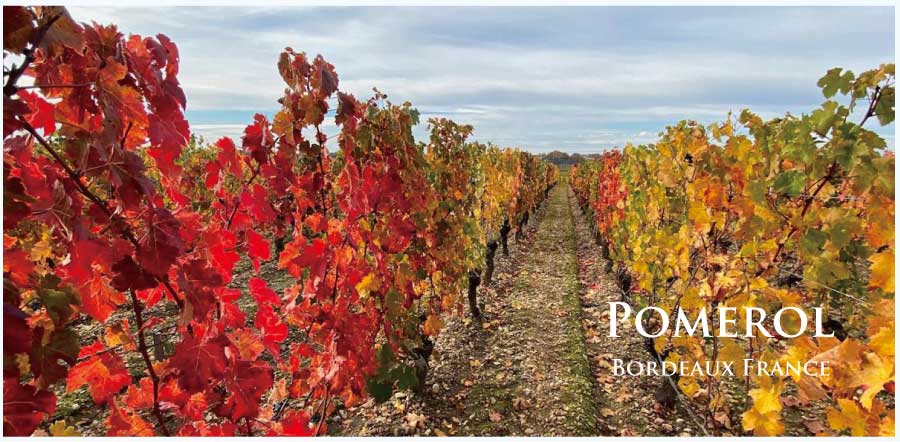 フランス・ワイン産地、ポムロールのぶどう畑