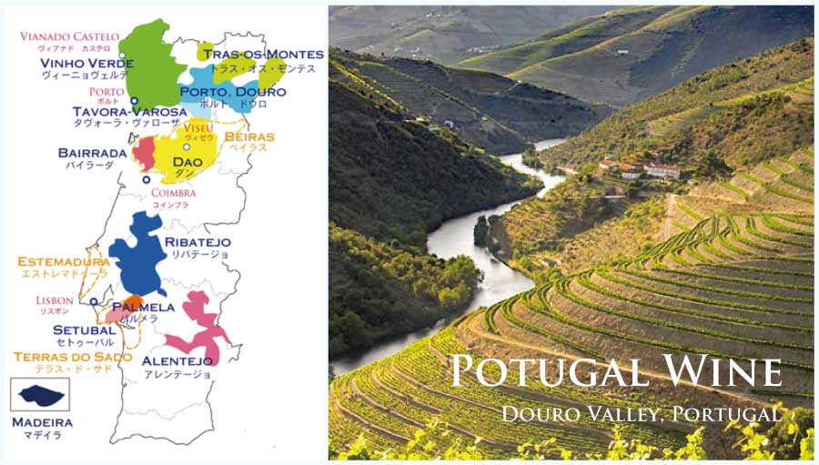 ポルトガルワイン地図 (Portugal Wine Map) ポート・ワイン (Port Wine)